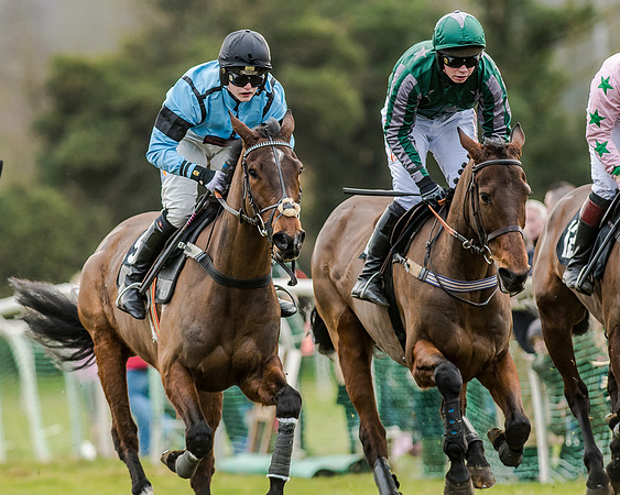 Race 6 - Open Maiden (65 of 103)