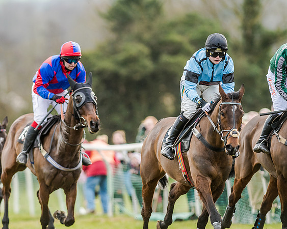 Race 6 - Open Maiden (67 of 103)