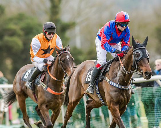 Race 6 - Open Maiden (70 of 103)