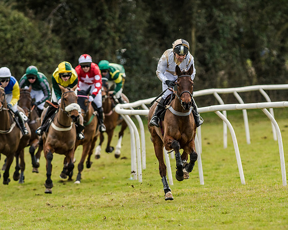 Race 6 - Open Maiden (76 of 103)
