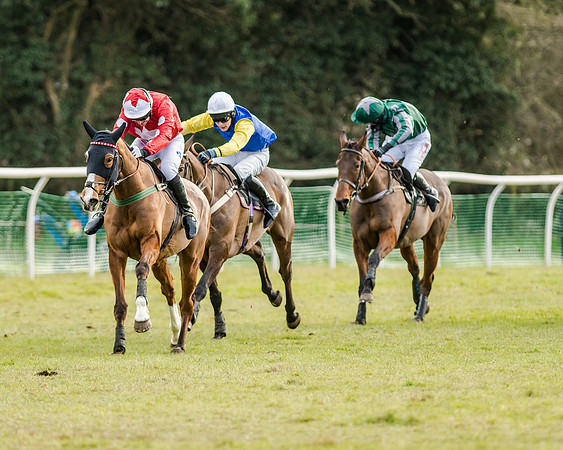 Race 6 - Open Maiden (87 of 103)