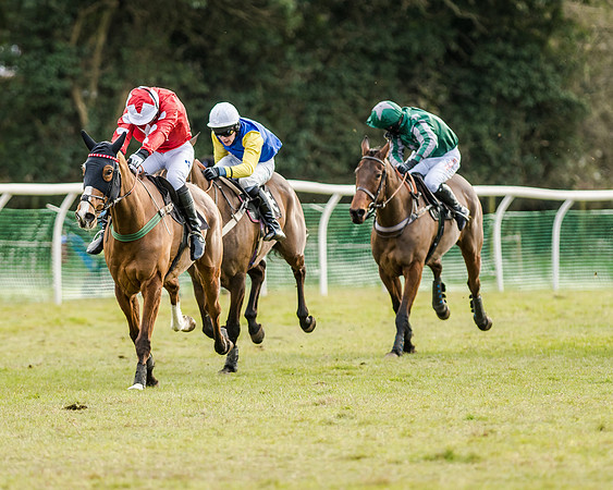 Race 6 - Open Maiden (88 of 103)