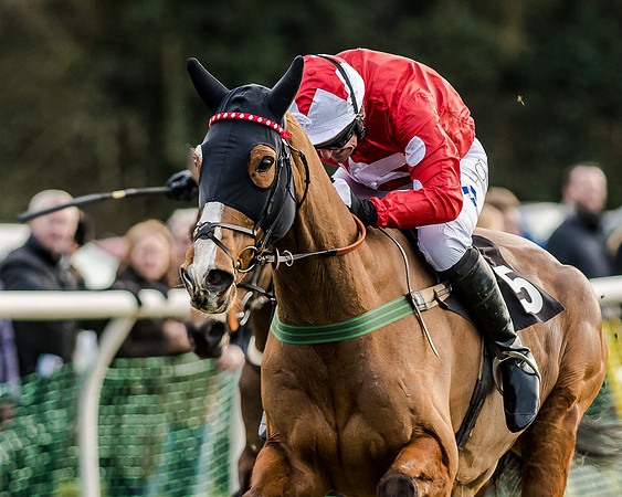 Race 6 - Open Maiden (91 of 103)