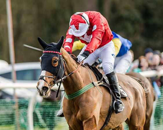 Race 6 - Open Maiden (92 of 103)