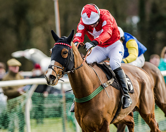 Race 6 - Open Maiden (93 of 103)