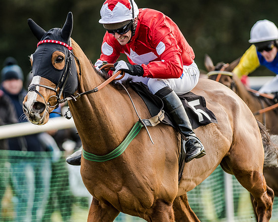 Race 6 - Open Maiden (96 of 103)