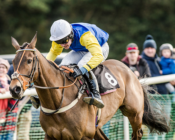 Race 6 - Open Maiden (98 of 103)