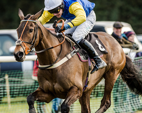 Race 6 - Open Maiden (99 of 103)