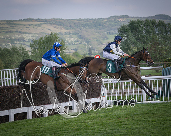 Race 2 - The Venatour sports travel intermediate point to point hunters’ steeplechase 5 year olds and over 3m2f (38 of 163)