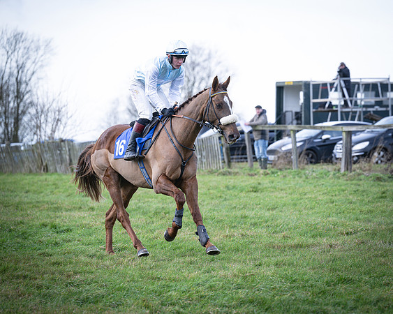 Race 2 - Maiden (13 of 145)