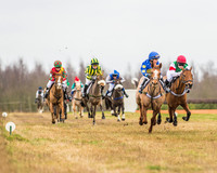 Pony Races