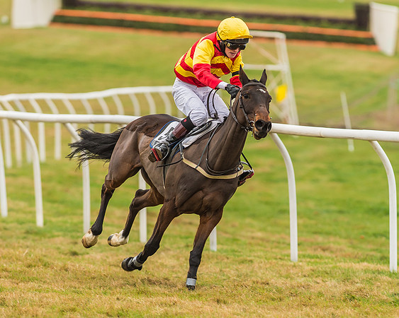 Division 1 of 148cm Pony Race-7