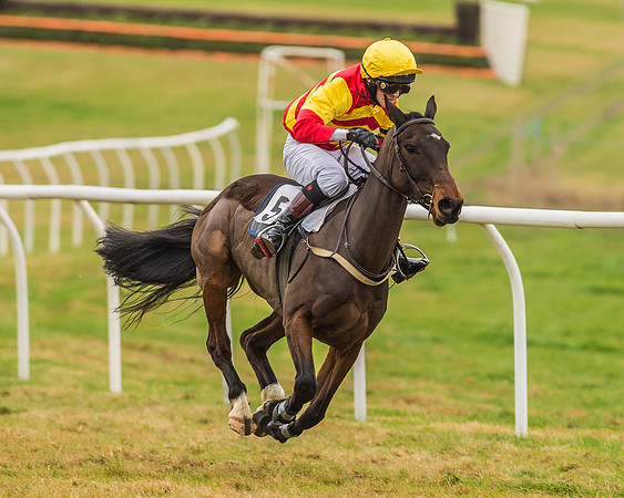 Division 1 of 148cm Pony Race-8