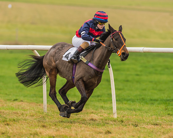 Division 1 of 148cm Pony Race-16