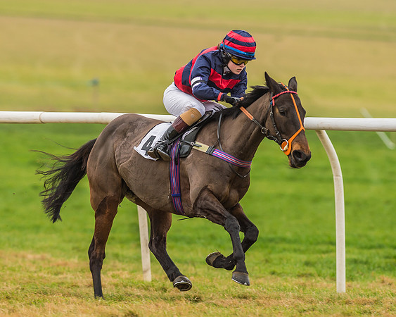 Division 1 of 148cm Pony Race-17