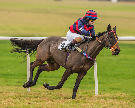Division 1 of 148cm Pony Race-19