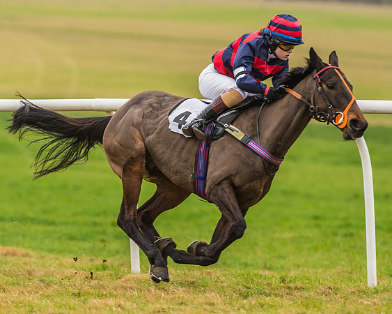 Division 1 of 148cm Pony Race-20