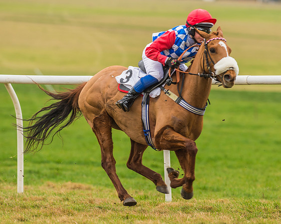 Division 1 of 148cm Pony Race-21