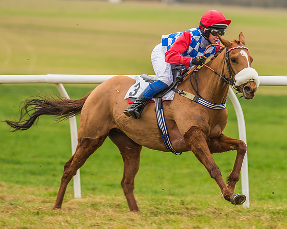 Division 1 of 148cm Pony Race-22