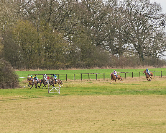 Division 2 of 148cm Pony Race-2