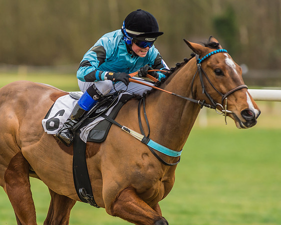 Division 2 of 148cm Pony Race-13