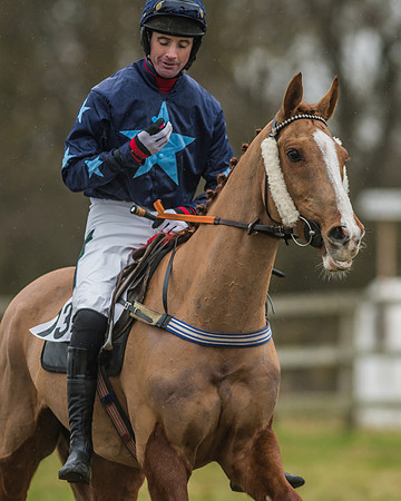 Race 5 - Restricted Race-3