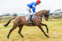 Race 5 - Restricted Race-4