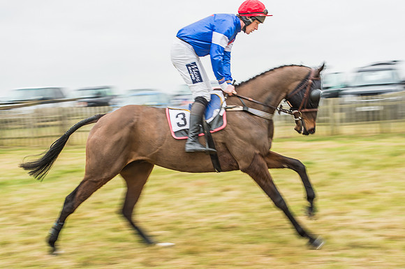 Race 5 - Restricted Race-4