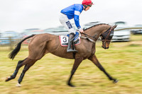 Race 5 - Restricted Race-5