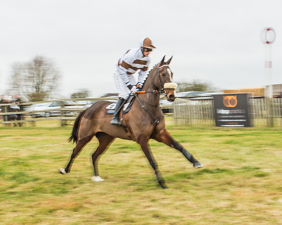 Race 5 - Restricted Race-6