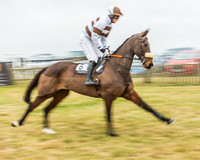 Race 5 - Restricted Race-8