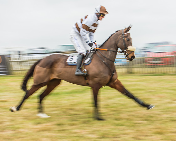 Race 5 - Restricted Race-8