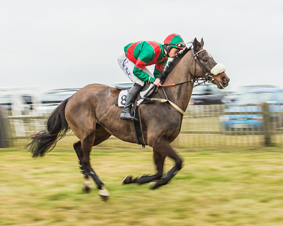 Race 5 - Restricted Race-9