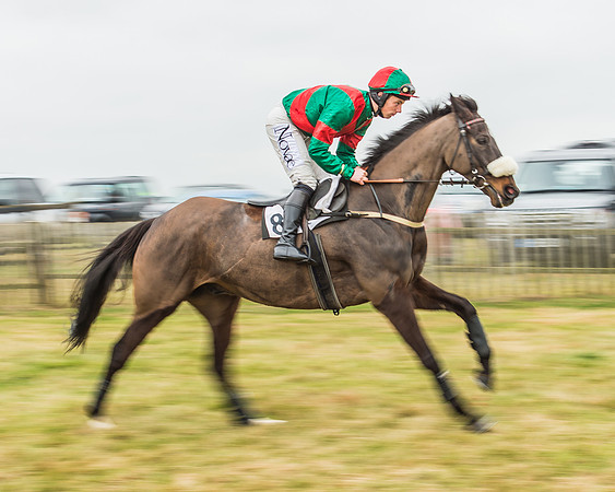 Race 5 - Restricted Race-10