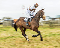 Race 5 - Restricted Race-7