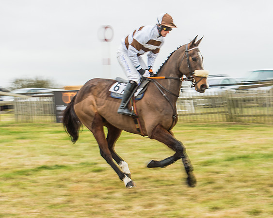 Race 5 - Restricted Race-7