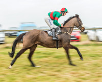 Race 5 - Restricted Race-11