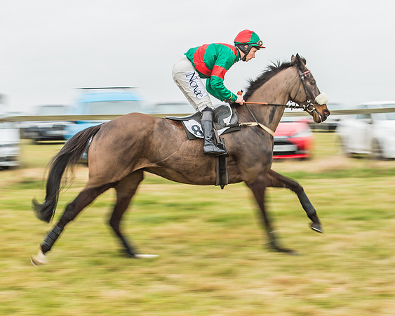 Race 5 - Restricted Race-11