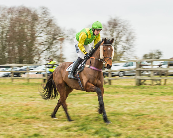 Race 5 - Restricted Race-12