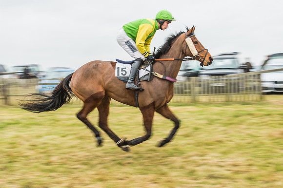 Race 5 - Restricted Race-13