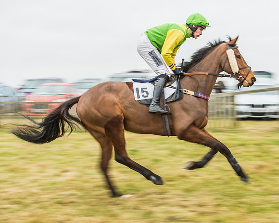 Race 5 - Restricted Race-14