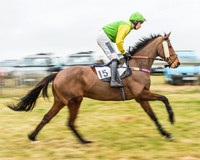 Race 5 - Restricted Race-15