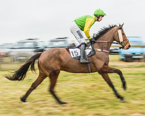 Race 5 - Restricted Race-15