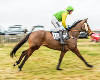 Race 5 - Restricted Race-16