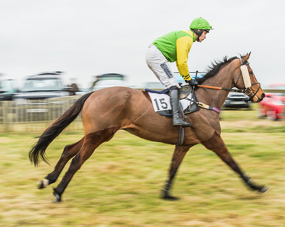 Race 5 - Restricted Race-16