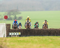 Race 5 - Restricted Race-17