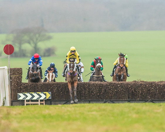 Race 5 - Restricted Race-18
