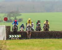 Race 5 - Restricted Race-19