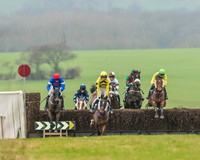 Race 5 - Restricted Race-20