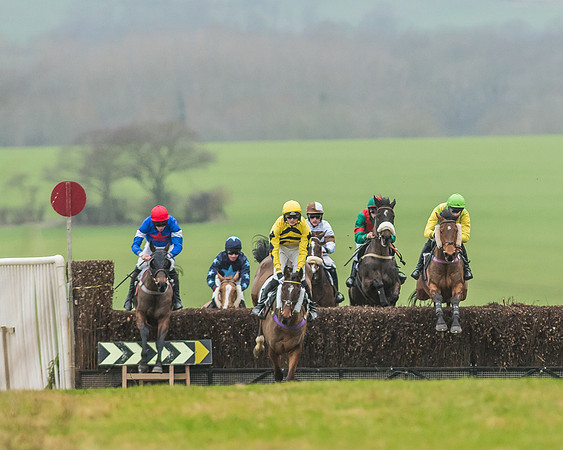 Race 5 - Restricted Race-20